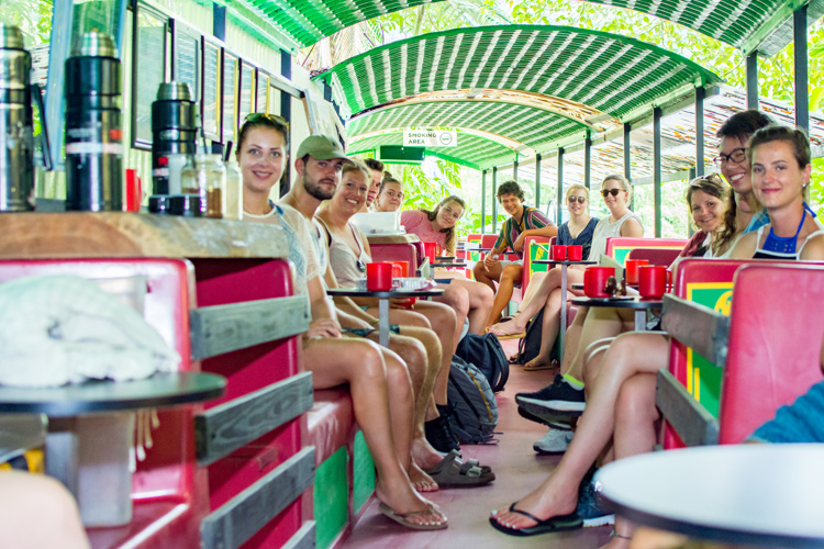 cruises daintree